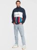 Karl Kani bluza męska KK Signature Block Stripe Troyer 6027341 Karl Kani bluza męska KK Signature Block Stripe Troyer 6027341